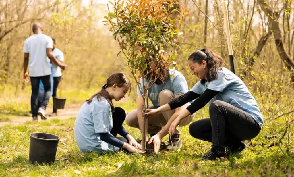 Explore Neighborhood Revitalization Efforts