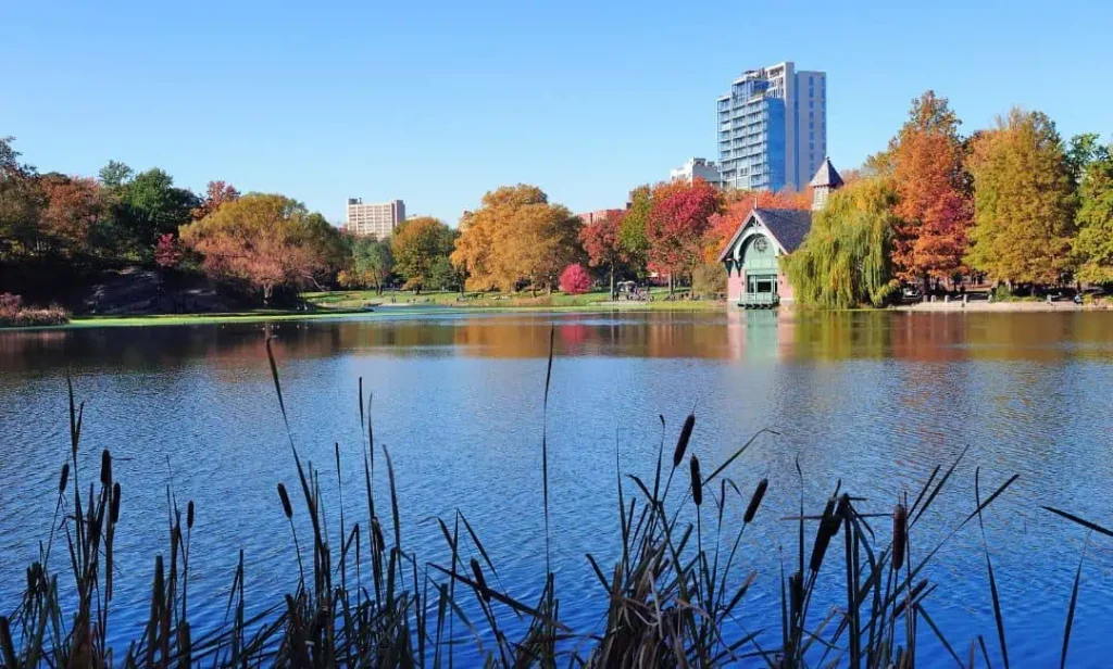 best areas in hamilton