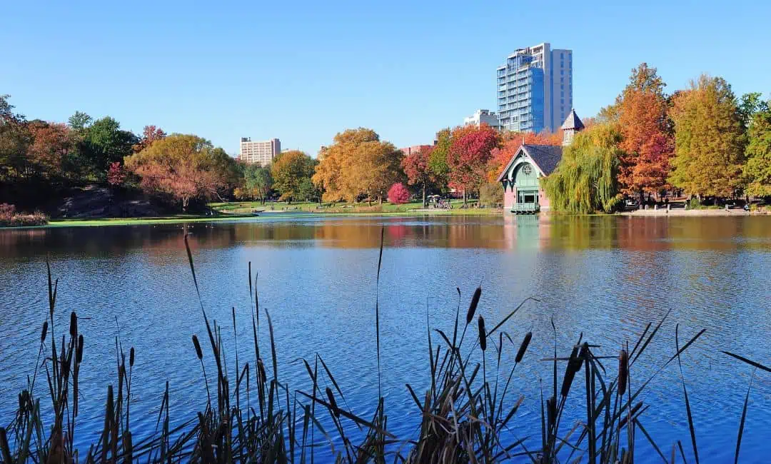 Best Areas in Hamilton